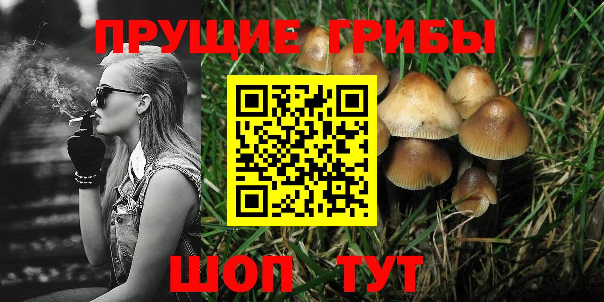 дарнет шоп  Галлюциногенные грибы GOLDEN TEACHER  Вход с VPN  Вышний Волочёк 